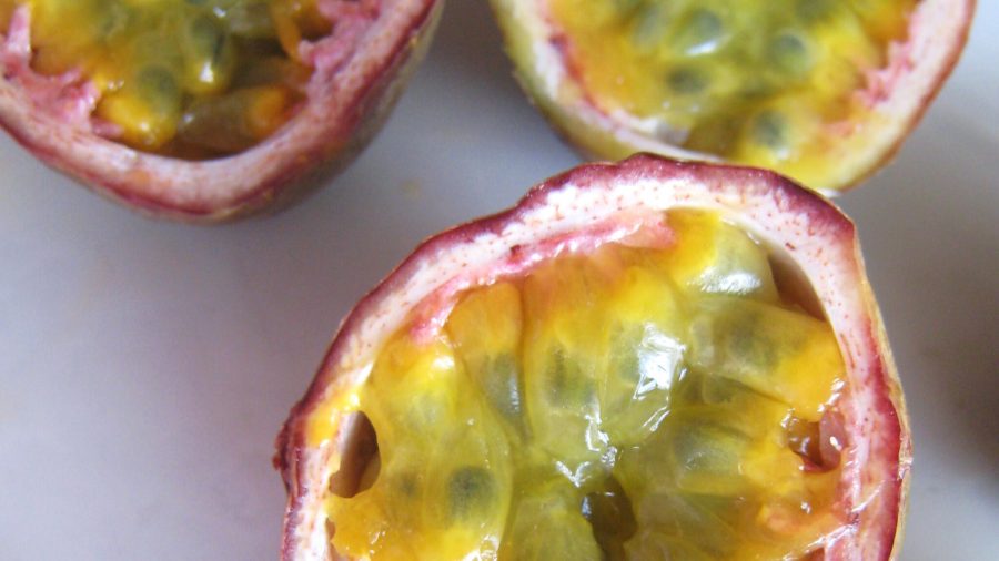 With their vigorous growth and ability to tolerate sandy soil, passionfruits grow great on Aotea. Photo / Paul Munhoven / CC