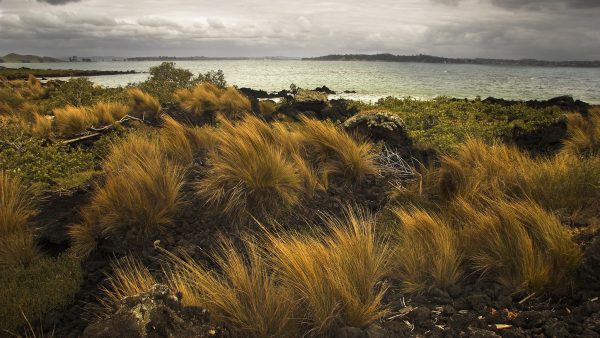 Hauraki Gulf from Rangitoto Island. Photo / Mike Locke / CC