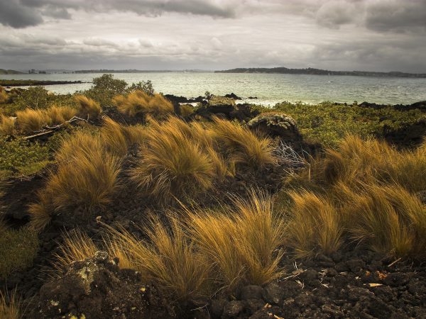 Hauraki Gulf from Rangitoto Island. Photo / Mike Locke / CC