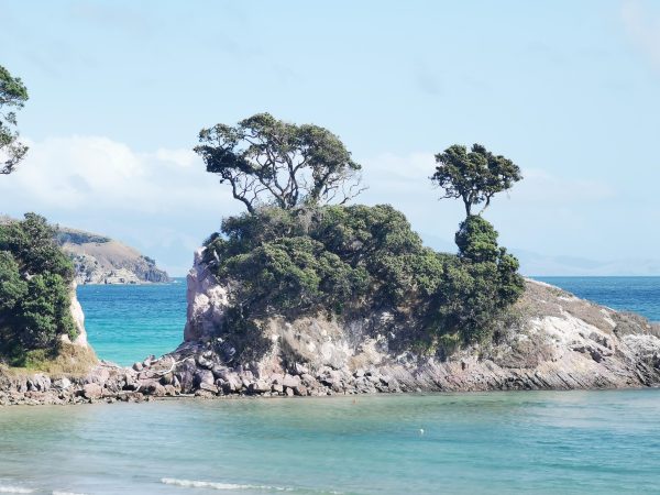 Looking out towards the rock at Pah Beach on Aotea, Great Barrier Island.
