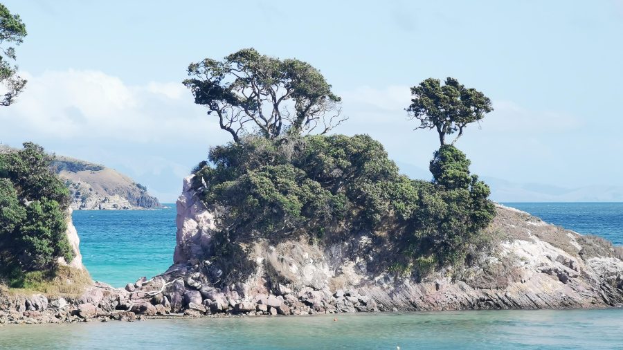 Looking out towards the rock at Pah Beach on Aotea, Great Barrier Island.