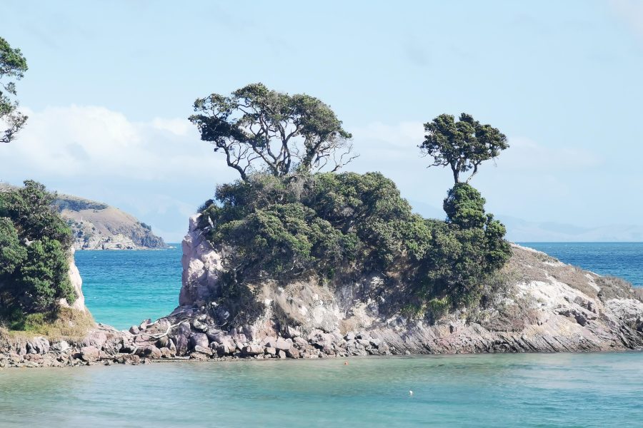 Looking out towards the rock at Pah Beach on Aotea, Great Barrier Island.