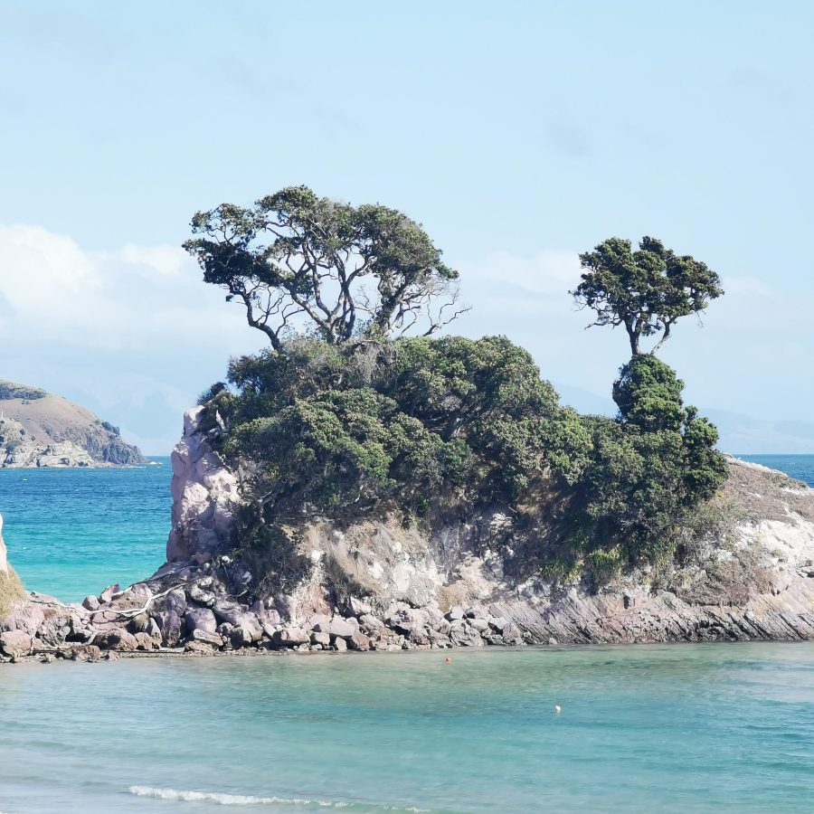 Looking out towards the rock at Pah Beach on Aotea, Great Barrier Island.