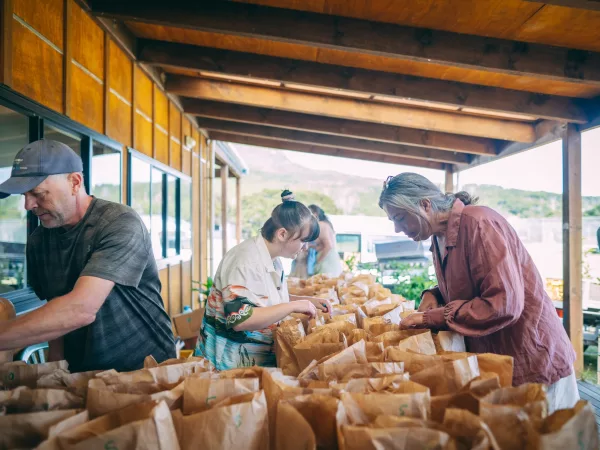 Community Spirit: The Aotea Growers & Makers Market at Claris Centre, a showcase of Great Barrier Island's finest local produce, crafts, and culinary delights. Photo / Manaaki Media