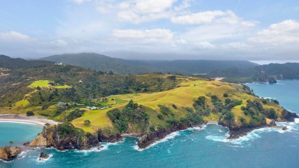 A breathtaking drone view of the Gray Family Farm, showcasing the sprawling peninsula property as it extends into the pristine waters of Great Barrier Island. Photo / Barfoot & Thompson