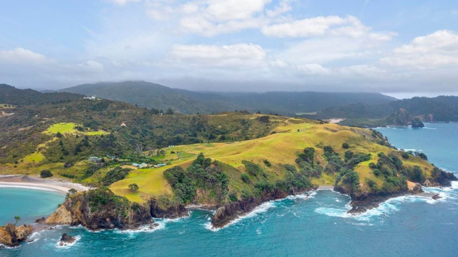 A breathtaking drone view of the Gray Family Farm, showcasing the sprawling peninsula property as it extends into the pristine waters of Great Barrier Island. Photo / Barfoot & Thompson