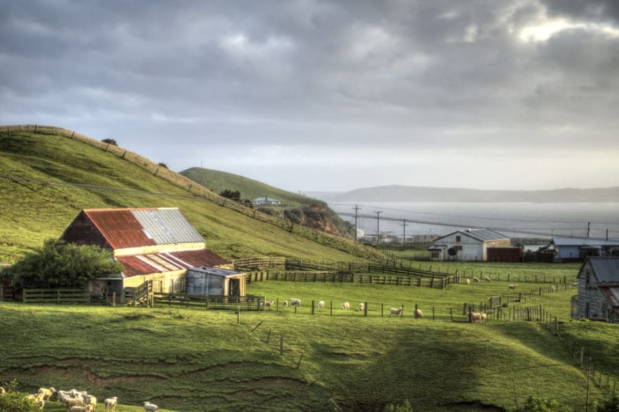 Chatham Islands. Photo / Flickr / Ville Miettinen