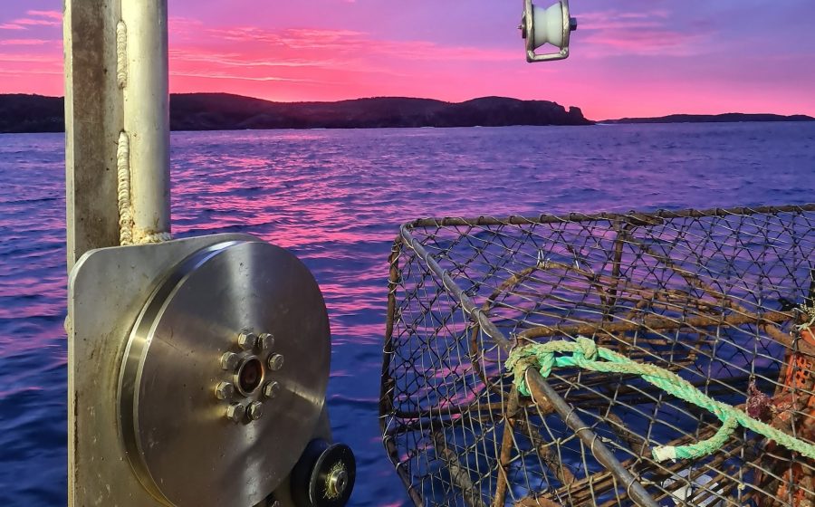 Crayfish pots aboard the Crusader. Photo / Toitū Fishing NZ