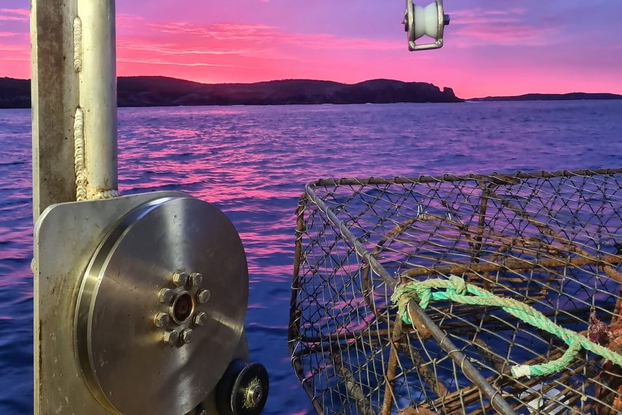 Crayfish pots aboard the Crusader. Photo / Toitū Fishing NZ