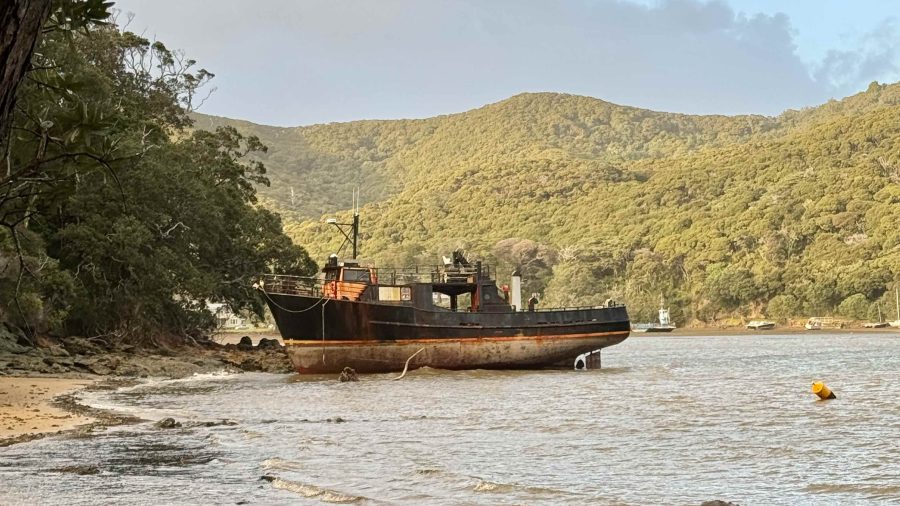 Golden Rose, Adrift, Ashore. Photo / Supplied