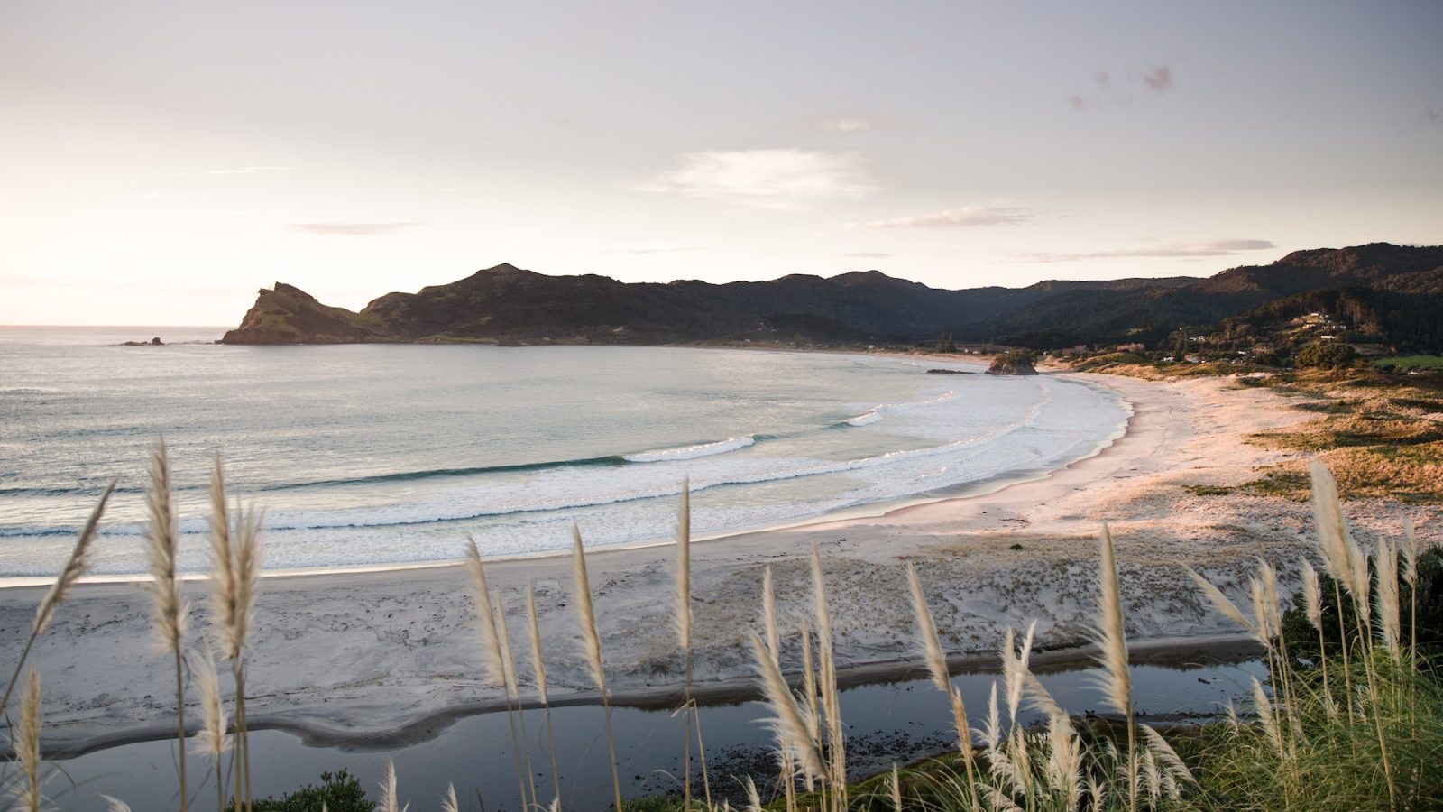 Great Barrier's Medlands white sand beach with New Zealand native toi toi fauna and mountain view. Photo / Mark Russell