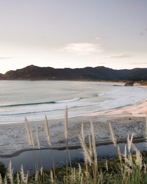 Great Barrier's Medlands white sand beach with New Zealand native toi toi fauna and mountain view. Photo / Mark Russell