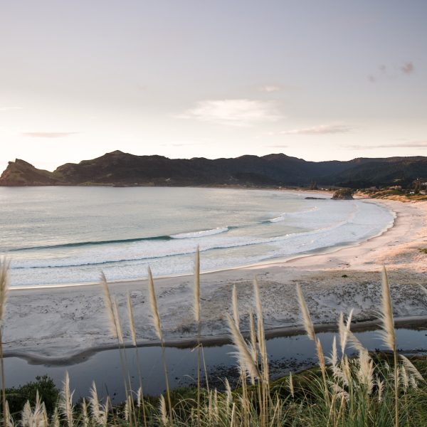 Great Barrier's Medlands white sand beach with New Zealand native toi toi fauna and mountain view. Photo / Mark Russell