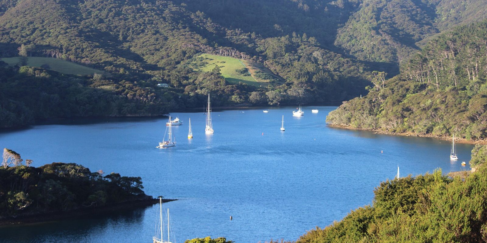 Looking Down at Port Fitzroy Great Barrier Island. Photo / DoC