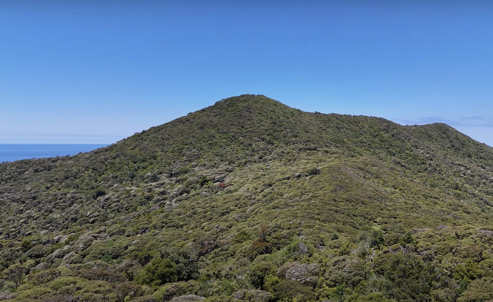 25 Years of Windy Hill. Photo / AoteaGBI.news