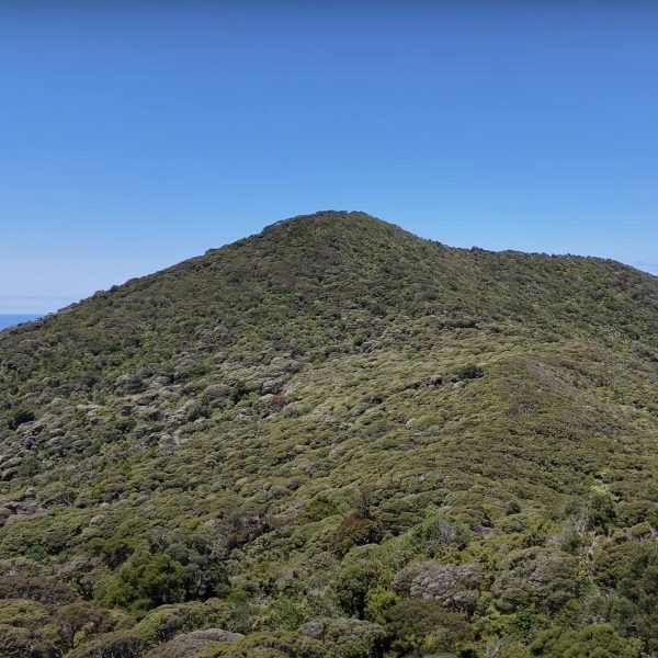 25 Years of Windy Hill. Photo / AoteaGBI.news