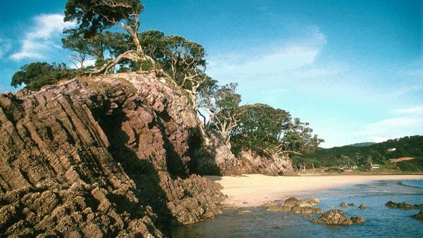 The beach at Medlands, Oruawharo Bay, Great Barrier Island, New Zealand (1990/184) Photo / GothPhil / CC
