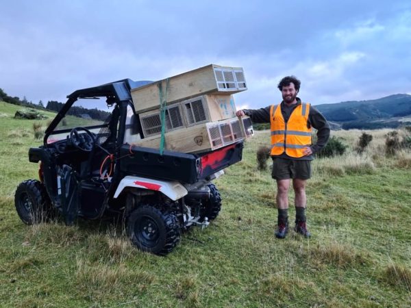 Halo's Conor Haughton with an ATV full of standard mustelid traps Photo / Supplied