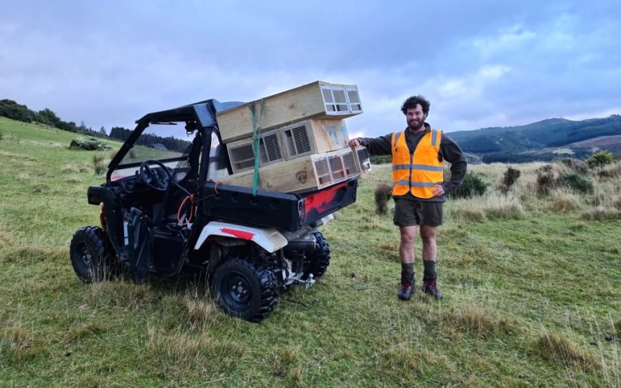 Halo's Conor Haughton with an ATV full of standard mustelid traps Photo / Supplied