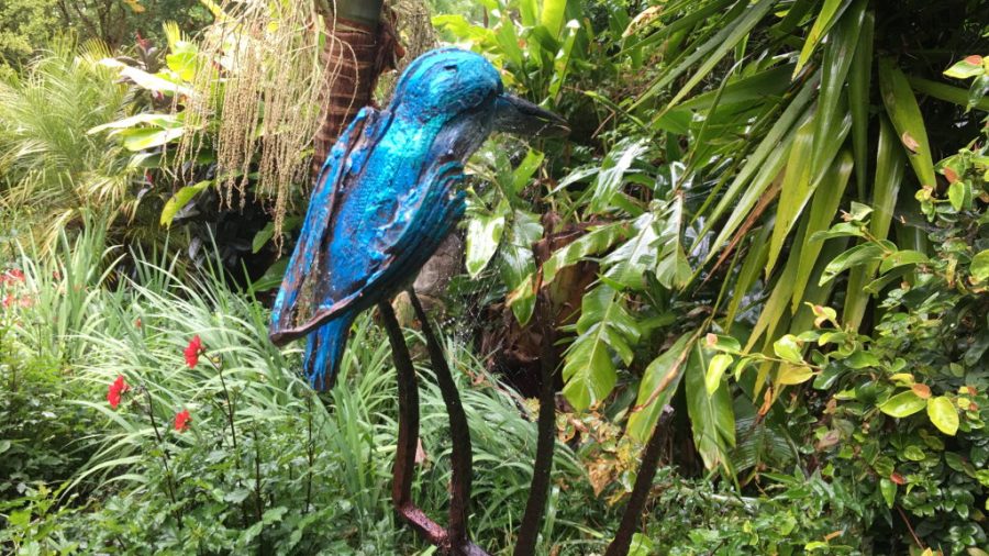 Serene sanctuary: A tranquil garden on Great Barrier Island, showcasing lush greenery and vibrant blooms. Photo / Great Barrier Island Garden Tours