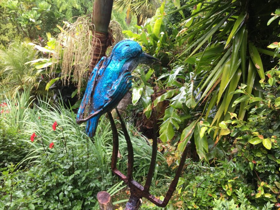 Serene sanctuary: A tranquil garden on Great Barrier Island, showcasing lush greenery and vibrant blooms. Photo / Great Barrier Island Garden Tours