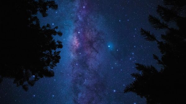 The magic of Aotea's night sky, a Travelers' Choice award-winning experience. Photo / Mark Russell