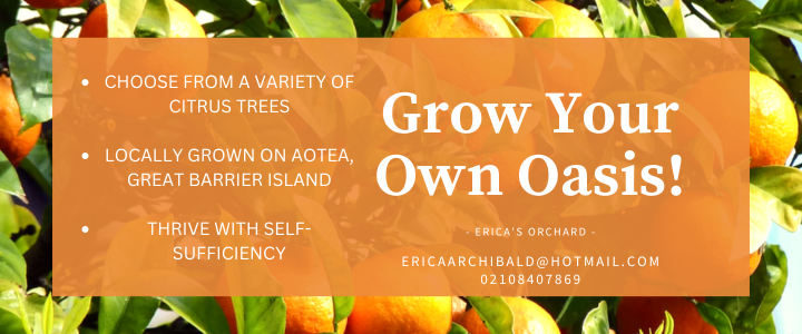 Grow with Erica's Nursery! Find your perfect citrus tree—start your path to self-sufficiency!