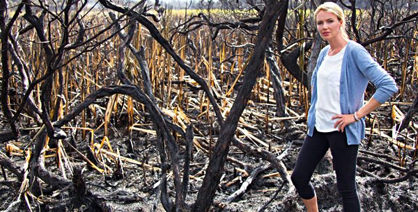 Great Barrier Island Burns: Petra Bagust’s Emotional Frontline Account.