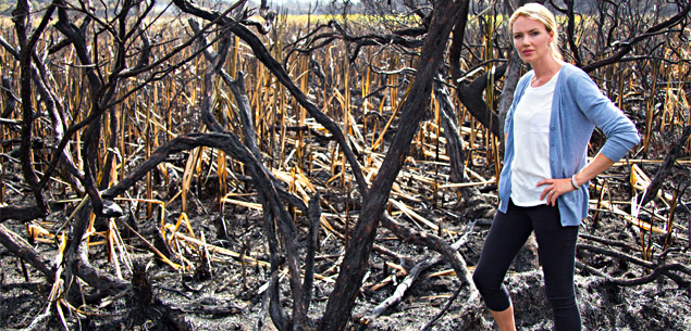 Great Barrier Island Burns: Petra Bagust’s Emotional Frontline Account.