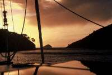 Cruising the Hauraki Gulf: Discover the Magic of Great Barrier Island