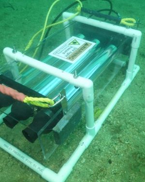 Experimental UV light unit deployed on the seafloor at Rakino Island, designed to target invasive Caulerpa species with intense ultraviolet light. Photo / University of Auckland