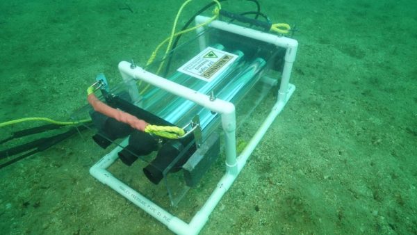 Experimental UV light unit deployed on the seafloor at Rakino Island, designed to target invasive Caulerpa species with intense ultraviolet light. Photo / University of Auckland