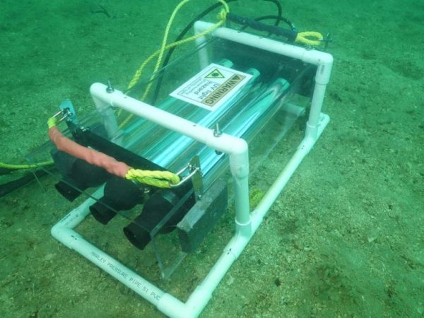 Experimental UV light unit deployed on the seafloor at Rakino Island, designed to target invasive Caulerpa species with intense ultraviolet light. Photo / University of Auckland