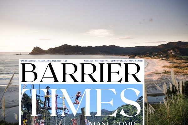 Barrier Times Subscription