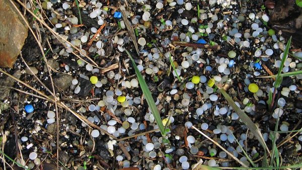 Nurdles scattered along a shoreline. These plastic pellets are often found embedded in seaweed or sand. Photo / hockadilly / Flickr (CC BY 2.0)