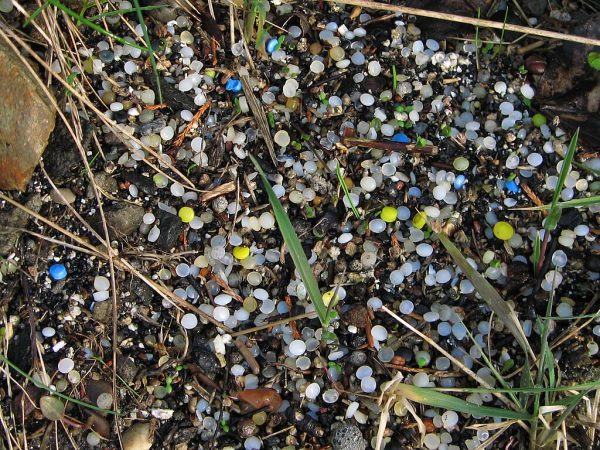 Nurdles scattered along a shoreline. These plastic pellets are often found embedded in seaweed or sand. Photo / hockadilly / Flickr (CC BY 2.0)