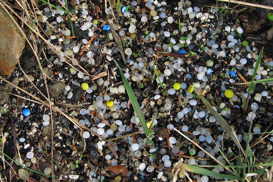 Nurdles scattered along a shoreline. These plastic pellets are often found embedded in seaweed or sand. Photo / hockadilly / Flickr (CC BY 2.0)