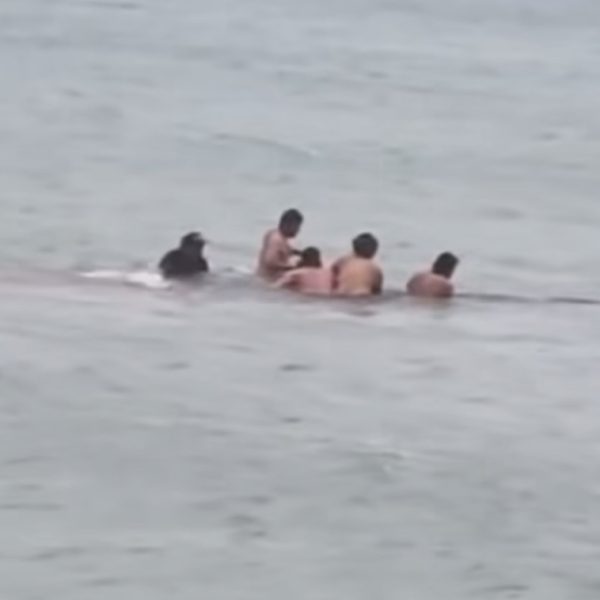 Locals guide stranded whale back to sea off Aotea’s south coast in a powerful moment of community and care.