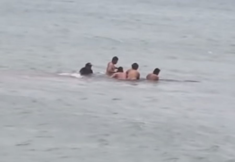 Locals guide stranded whale back to sea off Aotea’s south coast in a powerful moment of community and care.