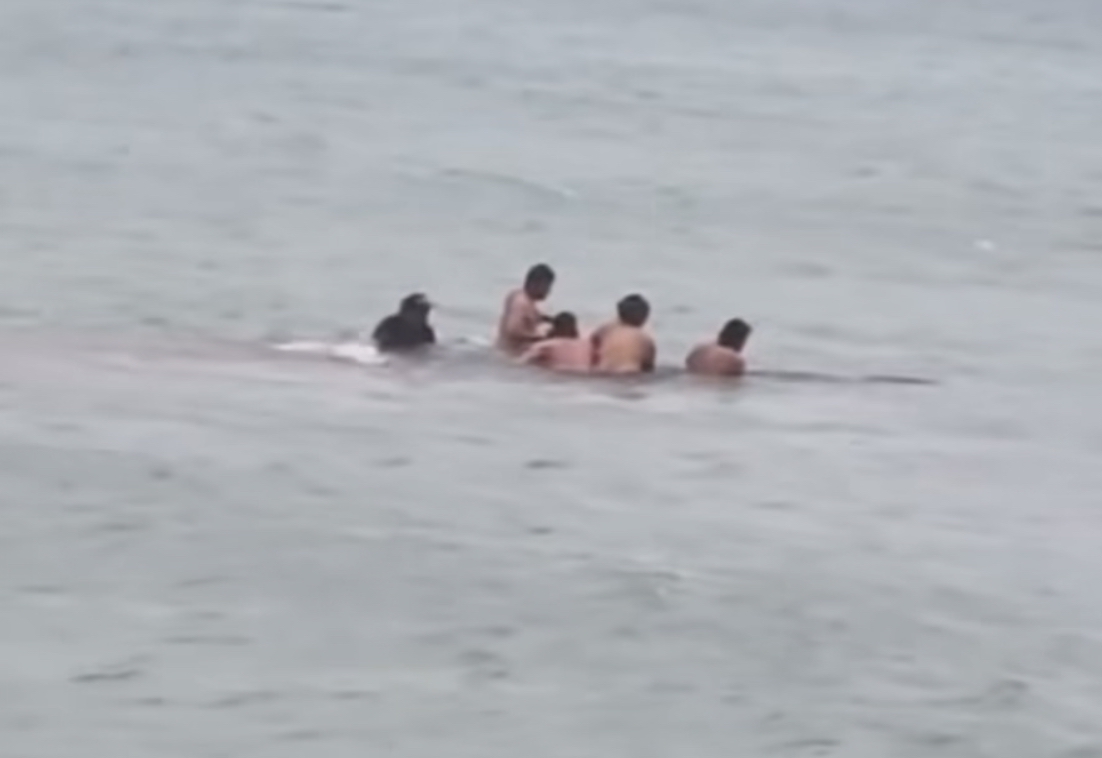 Locals guide stranded whale back to sea off Aotea’s south coast in a powerful moment of community and care.