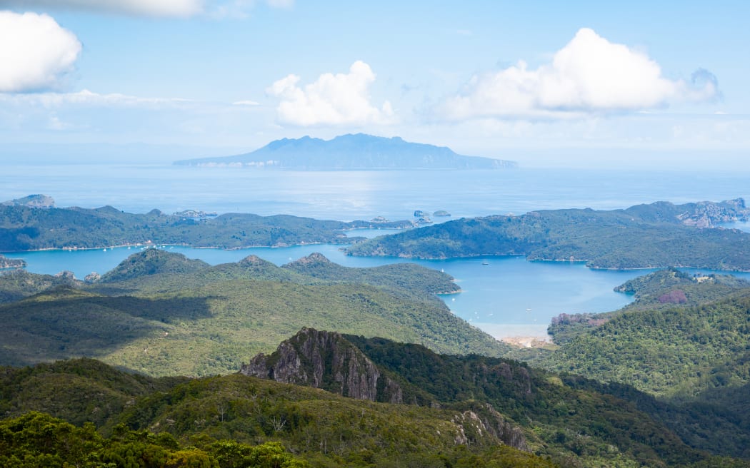 Hauturu/Little Barrier - home to a smaller colony of black petrels - is visible from the summit of Mt Hobson. Photo: RNZ / Kate Newton
