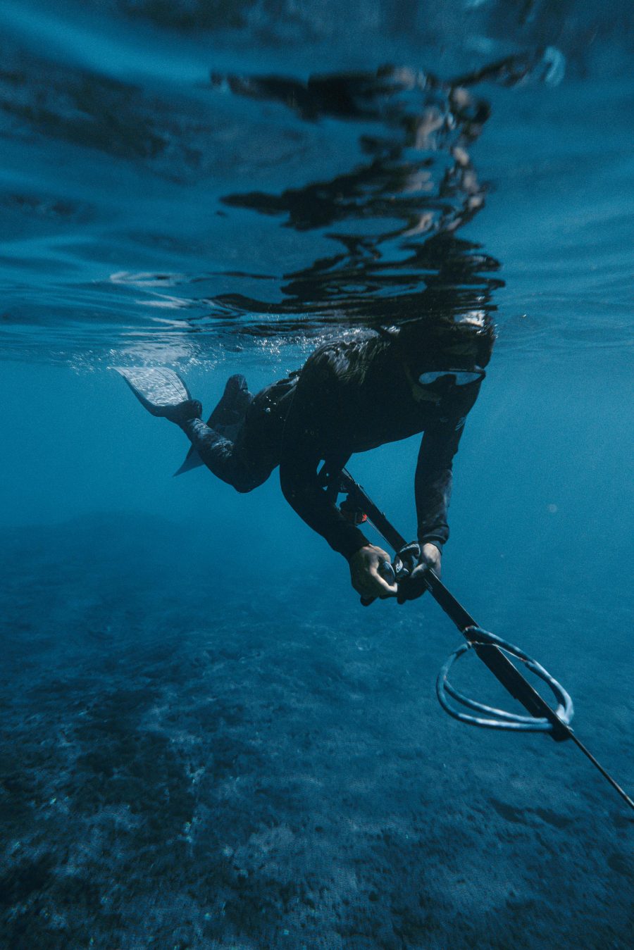 Spearfishing. Photo / Daniel Torobekov