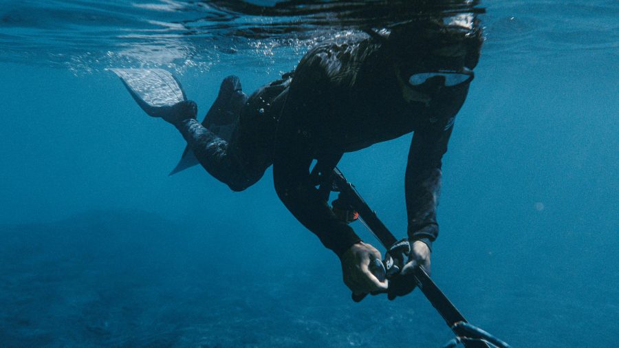Spearfishing. Photo / Daniel Torobekov
