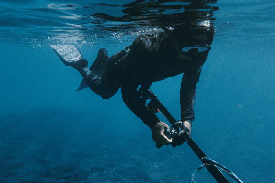 Spearfishing. Photo / Daniel Torobekov