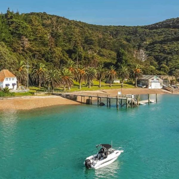 The RNZYS property at Bon Accord Harbour, Kawau Island — including the historic Lidgard House (left) — is set to be sold, despite opposition from some members.