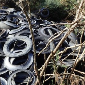 A mound of dumped tyres in native bush — the same material researchers say is now the country’s largest source of microplastics. Photo / RNZ