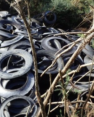 A mound of dumped tyres in native bush — the same material researchers say is now the country’s largest source of microplastics. Photo / RNZ