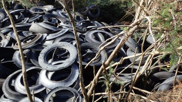 A mound of dumped tyres in native bush — the same material researchers say is now the country’s largest source of microplastics. Photo / RNZ