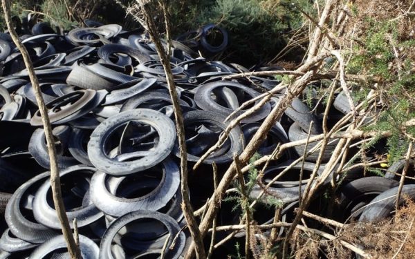A mound of dumped tyres in native bush — the same material researchers say is now the country’s largest source of microplastics. Photo / RNZ