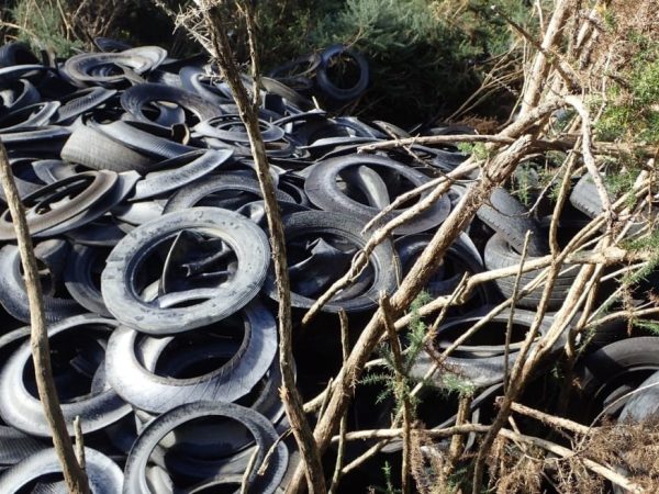 A mound of dumped tyres in native bush — the same material researchers say is now the country’s largest source of microplastics. Photo / RNZ